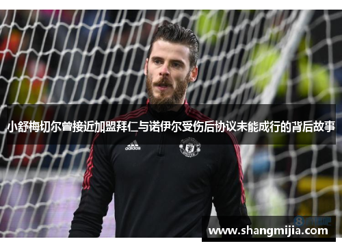 小舒梅切尔曾接近加盟拜仁与诺伊尔受伤后协议未能成行的背后故事