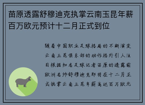 苗原透露舒穆迪克执掌云南玉昆年薪百万欧元预计十二月正式到位