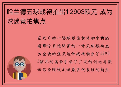哈兰德五球战袍拍出12903欧元 成为球迷竞拍焦点